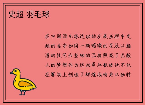 史超 羽毛球
